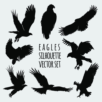 eagle silhouette vector illustration set
