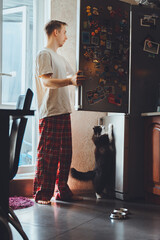 Sleepy full length young guy open fridge looking for breakfast food drinking coffee at early morning in kitchen. Millennial man feed cute funny black cat at cozy home modern bright apartment..