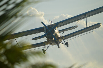 airplane in the sky