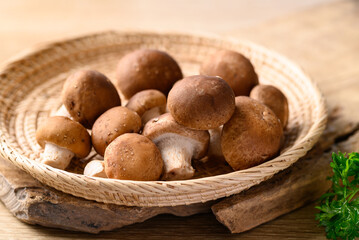 Fresh shiitake mushroom, edible mushroom and food ingredient in Asian cuisine