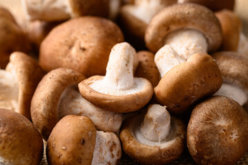 Fresh shiitake mushroom, edible mushroom and food ingredient in Asian cuisine