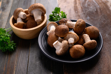 Fresh shiitake mushroom, edible mushroom and food ingredient in Asian cuisine