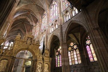 Fototapeta premium cathedral of leon