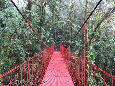 Red Suspension Bridge In Monteverde Cloud Forest, Costa Rica