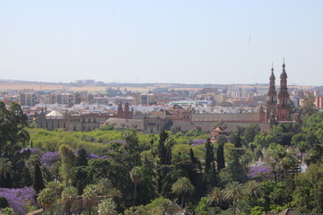 Obraz premium giralda