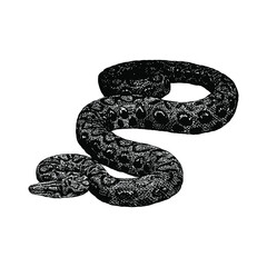 rainbow boa hand drawing vector illustration isolated on background