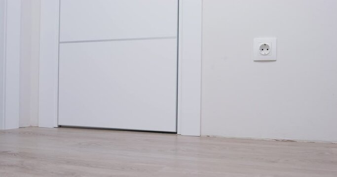 Funny dachshund puppy in a striped t-shirt runs to the door, sniffs threshold with curiosity and runs away, low angle view. Pet is looking for the owner in apartment