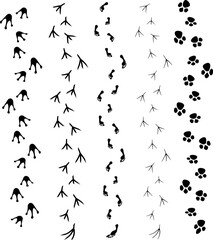 Obraz premium Vector black set bundle of different animals foot print path tracks isolated on white background,..eps