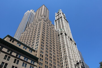 Naklejka premium city skyscrapers
