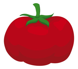 Fresh and plump red tomato over white background, Vector illustration