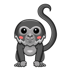 Cute black spider monkey cartoon posing