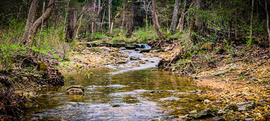 Ozark Stream 