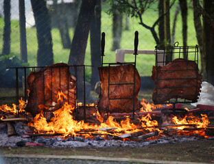 Brazilian Barbecue, rib on ground fire - obrazy, fototapety, plakaty