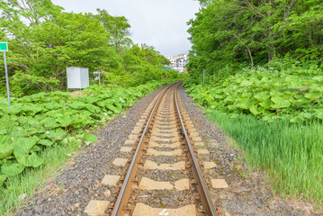 Fototapeta premium Landscape of railway in Hokkaido, Japan