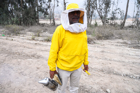 A beekeeper in a protective suit works with bees. A beekeeper inspects wooden beehives. Beekeeping