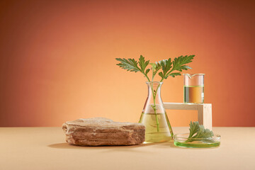 A front view of mugwort (artemesia vulgaris ) decorated with glassware and wooden cube blank space in brown background 