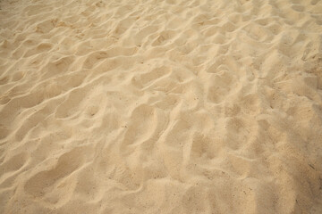 sand ripples in the sand