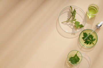 Top view of mugwort ( artemesia vulgaris ) decorated in petri dish glassware and brown background