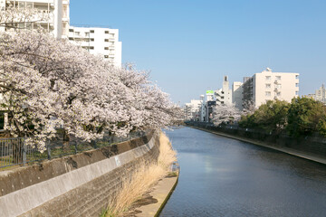 帷子川公園（横浜市保土ケ谷区）