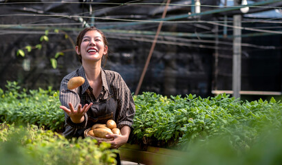 Happy young Asian female gardener holding potatoes basket in Agricultural farming, smiling woman...