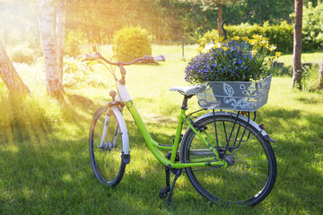 Fototapeta na wymiar Bicycle with a yellow flower basket in the summer garden