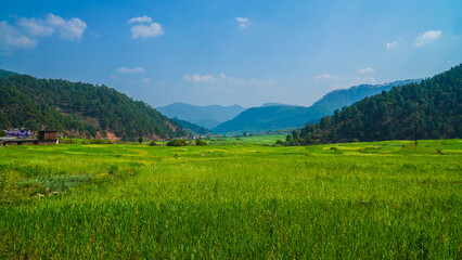 agricultural fields in the countryside of Kausani, Almora, mountain hills valley in Uttarakhand, Ranikhet. Nature Panoroma landscape background. © CLICK ON THE WAY
