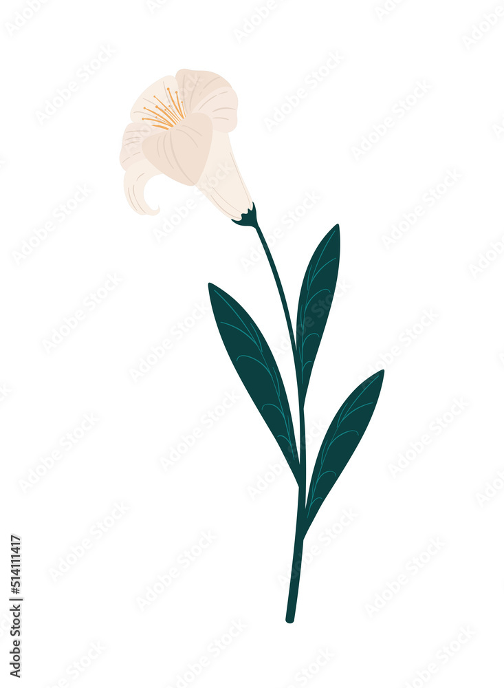 Poster flowers vector design