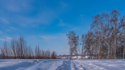 The road is trampled through a snow-covered valley. Ahead is a birch grove. Bare trunks and branches against the blue sky. Mountains in the distance. Altai