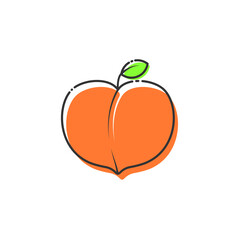 Peach fruit vector isolated