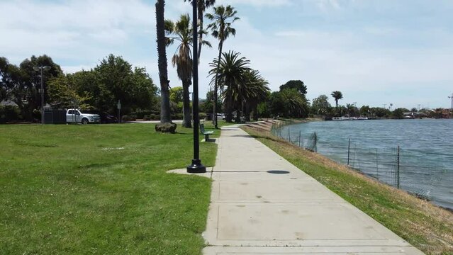 Morning Walk On Clear Blue Lagoon, Under Palm Trees, Refreshing Air, San Mateo Park, California