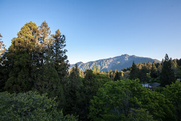 Alishan National Scenic Area in Chiayi City, Taiwan. It's 415 squre km in area. It includes mountain wilderness, four villages, waterfalls, high altitude tea plantations