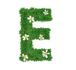 Alphabet E green grass decorate with flower