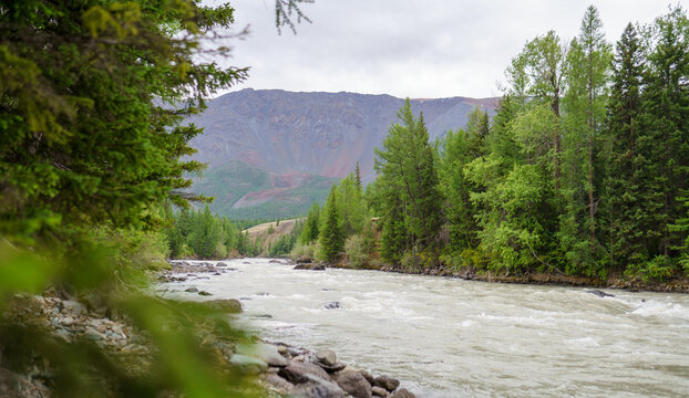 Chuya river in the Altay mountains 