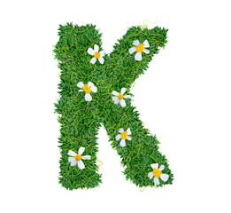 Alphabet K green grass decorate with flower