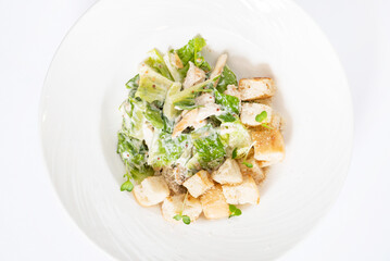 caesar salad isolated