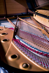 Inside of A Grand Piano