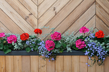 Fototapeta na wymiar Flowers decorating a wall of wooden planks