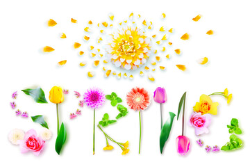Flowers and herbs with word spring. Creative floral composition.