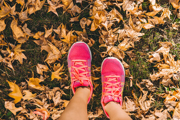 Stepping on Some Leaves