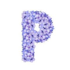 Floral Alphabet P hydrangea blossom  