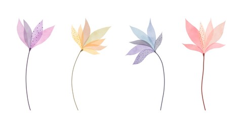 Set of delicate watercolor flowers. Transparent petals and buds