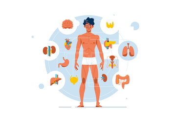 Human body anatomy and structure