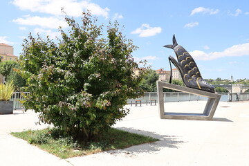 Les rives le long de la rivière isère, village de Romans sur Isère, France