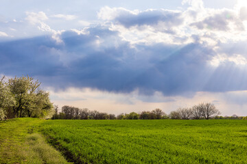 Fototapeta na wymiar Clouds moving across the sky over rural fields in Ukraine