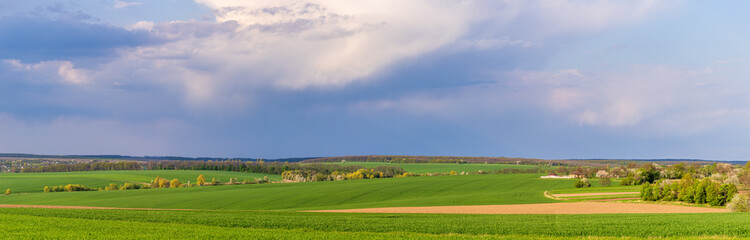 Landscape view of green fields with wheat in Ukraine	
