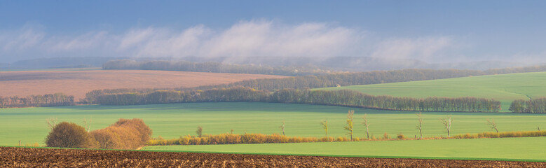 Landscape view of green fields with wheat in Ukraine