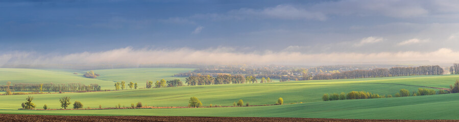 Fototapeta na wymiar Landscape view of green fields with wheat in Ukraine