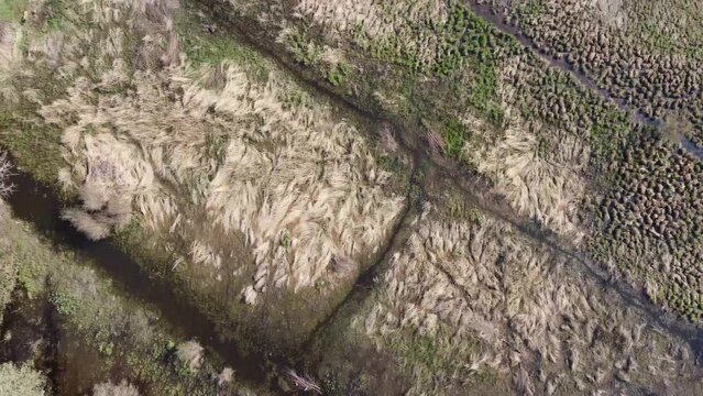 Bird's eye view of a swampy, irrigated field, with herron and walking people at the end
