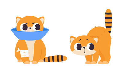 Funny Ginger Kitten with Striped Tail Arching Its Back and Sitting with Neck Collar Vector Illustration Set