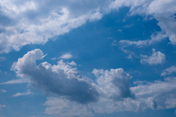 Obraz premium white clouds in the blue sky. cumulus.